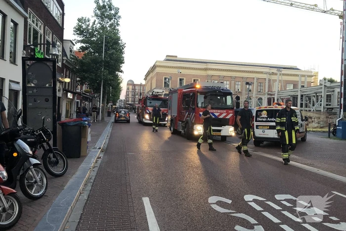 Vastzittende duiven door brandweer bevrijd
