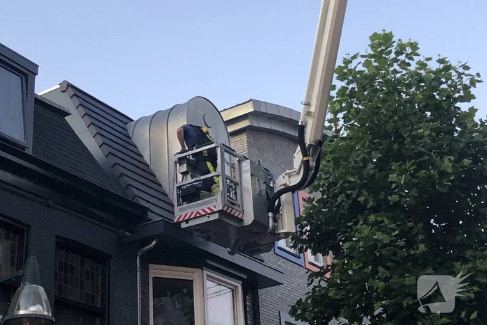Vastzittende duiven door brandweer bevrijd