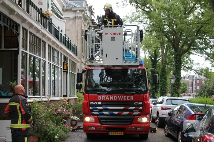 Vastzittende vogel door brandweer uit boom bevrijdt