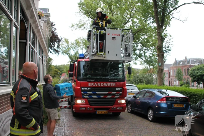 Vastzittende vogel door brandweer uit boom bevrijdt