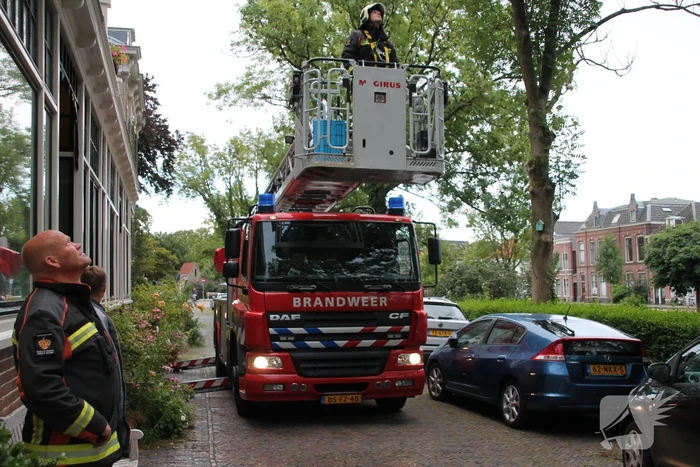 Vastzittende vogel door brandweer uit boom bevrijdt