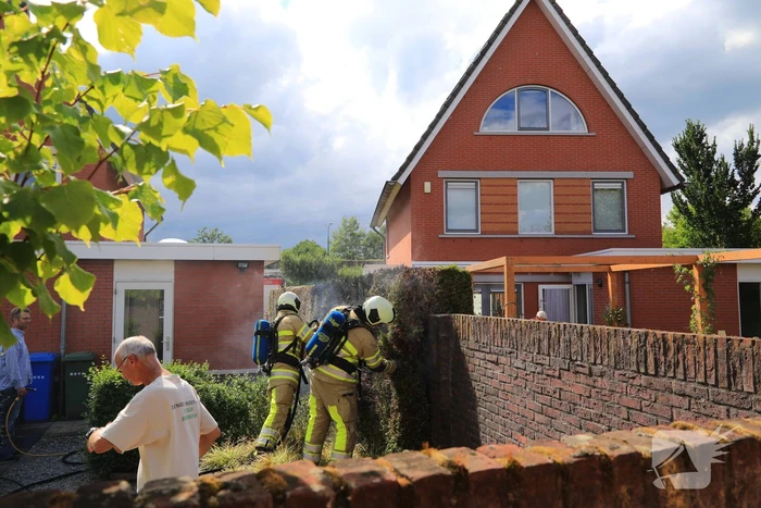 Onkruidbrander zet coniferenhaag in de brand