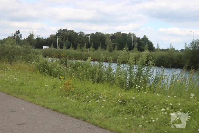 Auto raakt van de weg en belandt in sloot, bestuurder overleden