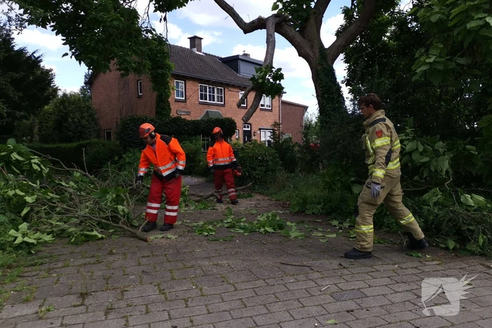Brandweer verwijdert gevaarlijk hangende takken