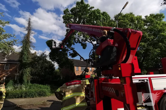 Brandweer verwijdert gevaarlijk hangende takken