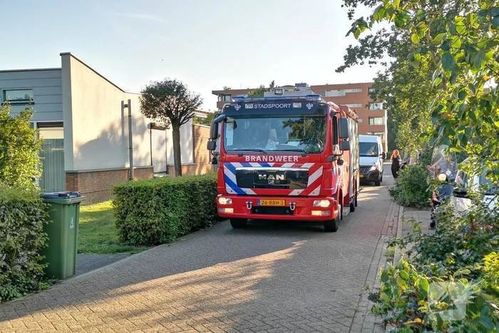 Coniferenhaag in brand