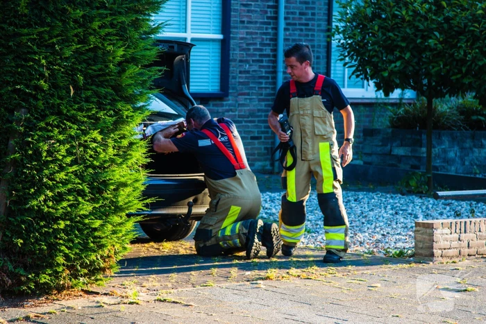 nieuws haagstraat sittard