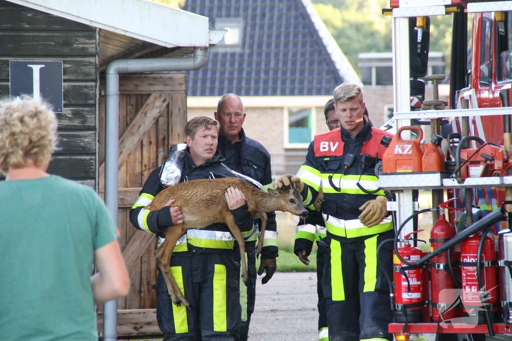 Slachtedyk 112 melding Joure 