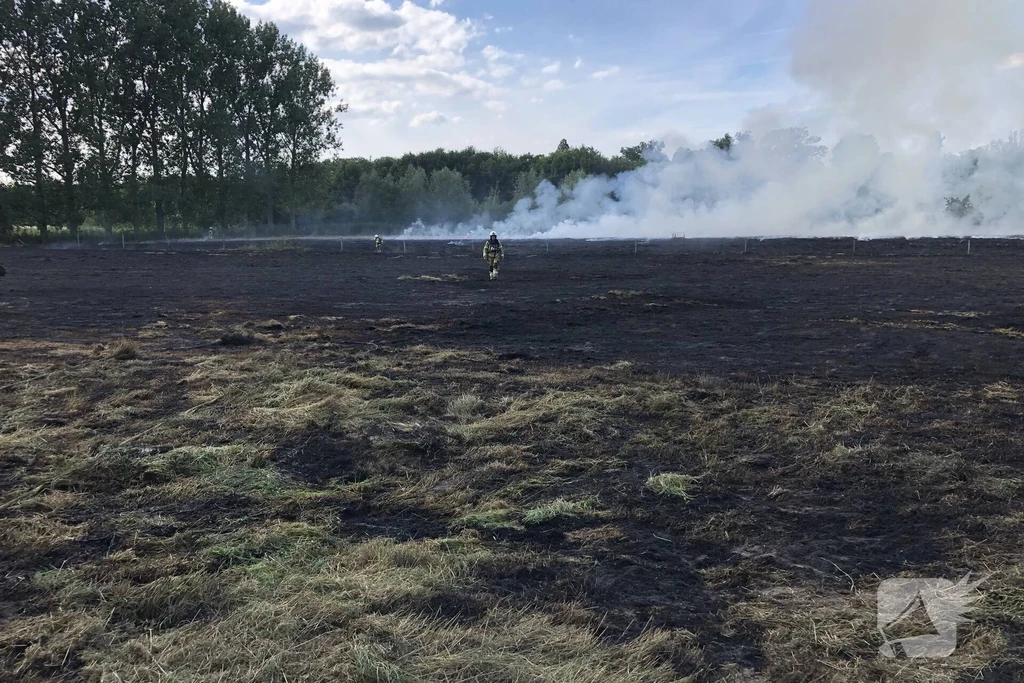 De Hogert Nieuws Gemonde 