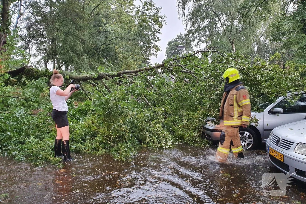 Wildforster Barneveld 112 