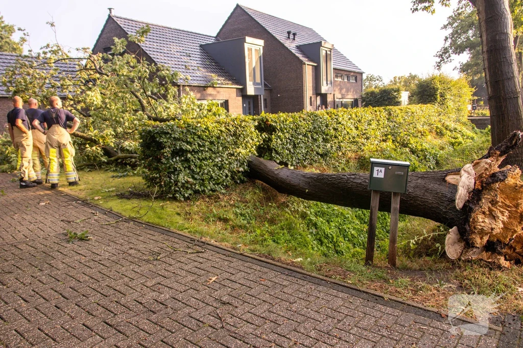 Molenweg Nieuws Hoogland 