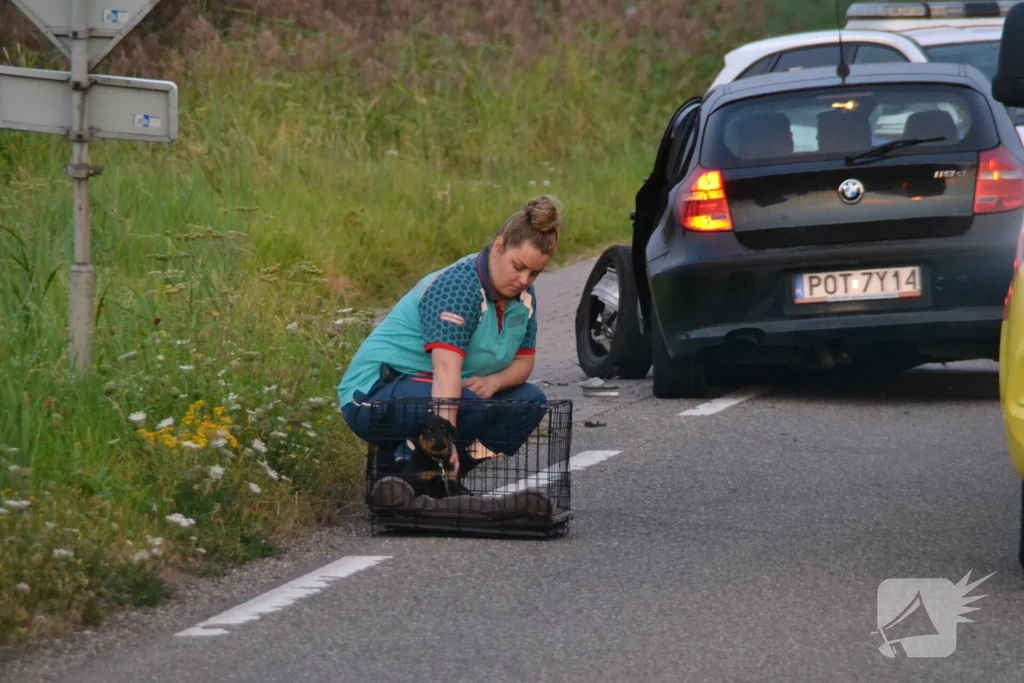 Oude Spoorbaan Nieuws Leiderdorp 
