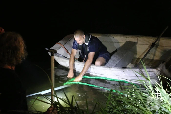 Peperdure Porsche belandt in de vaart na ontwijken van een dier