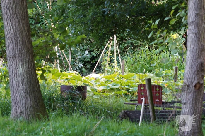 Man overleden na val in sloot Wollefoppenpark