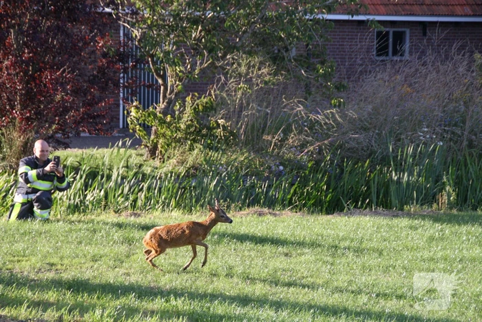 Ree bevrijdt onder boothuis