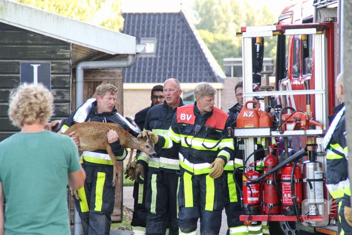 Ree bevrijdt onder boothuis