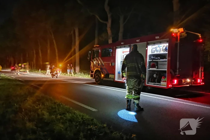 Auto's beschadigd nadat ze op afgebroken tak botsen