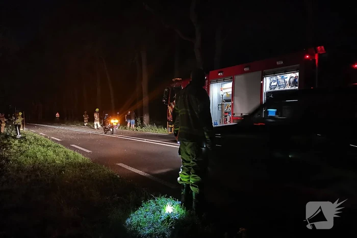 Auto's beschadigd nadat ze op afgebroken tak botsen