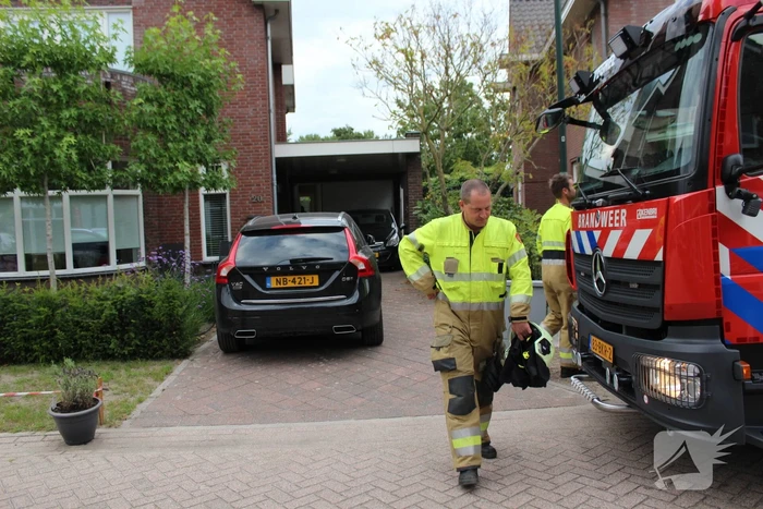 Kat springt uit de boom bij reddingsactie