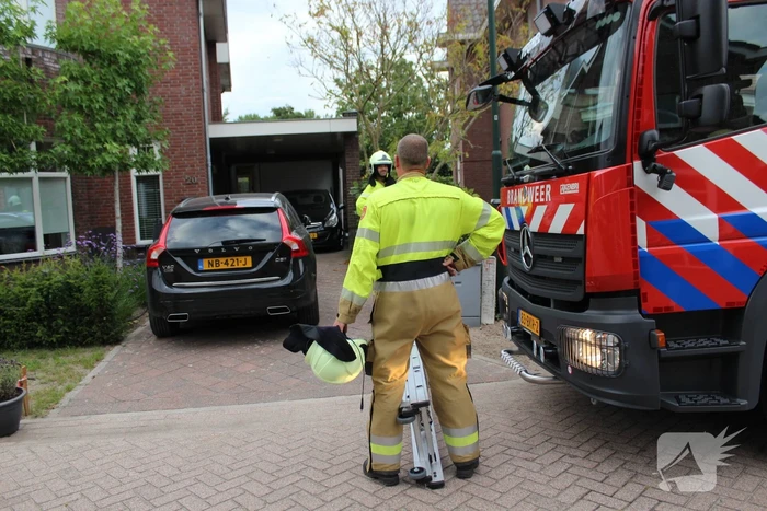 Kat springt uit de boom bij reddingsactie