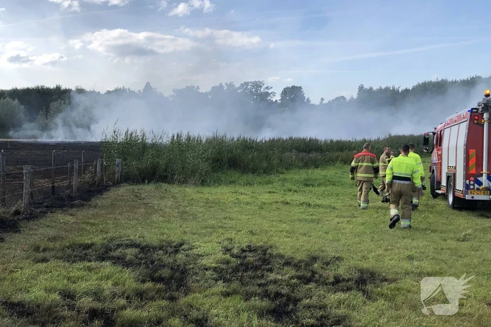 Meerdere weilanden in brand