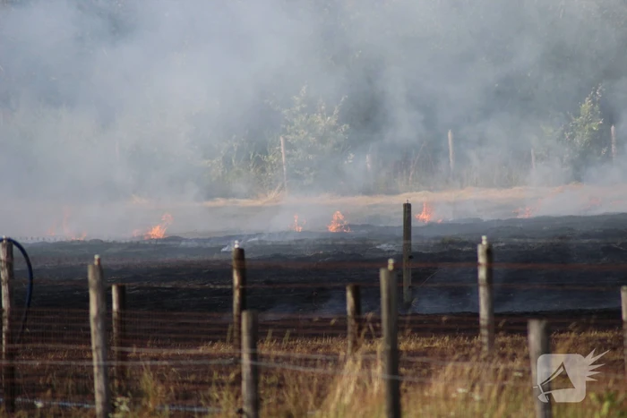 Meerdere weilanden in brand