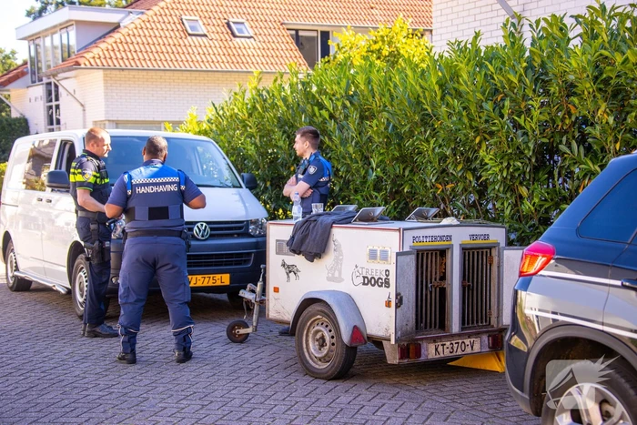 Twee schuren en een hondenkennel in brand