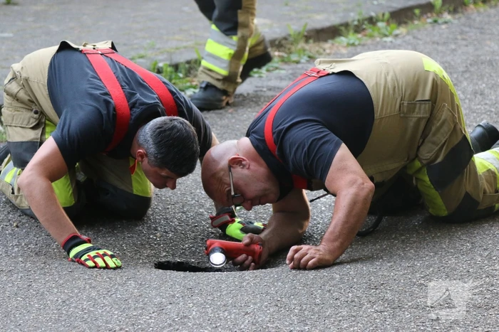Onderzoek naar sinkhole in wegdek