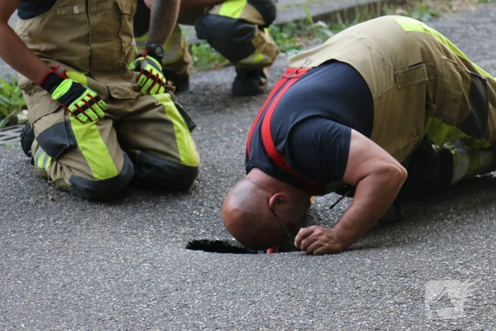 Onderzoek naar sinkhole in wegdek
