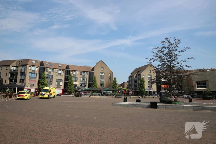 Grote brand Domino's Pizza