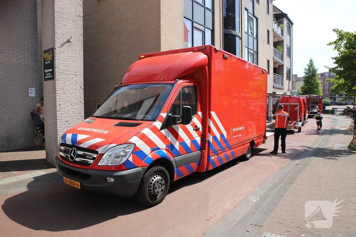 Grote brand Domino's Pizza