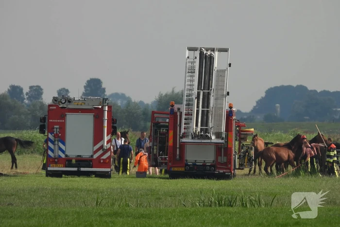 nieuws sudhoekstermiddelweg vrouwenparochie