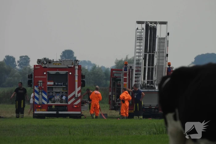 Paard raakt te water