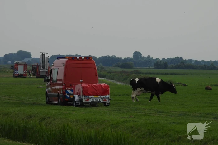 Paard raakt te water