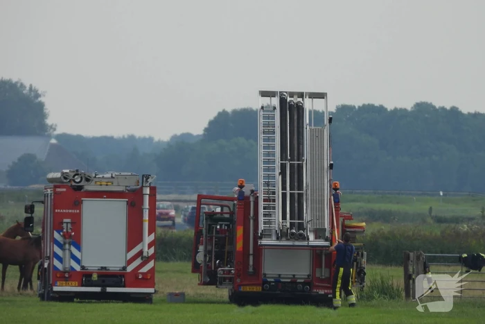 Paard raakt te water