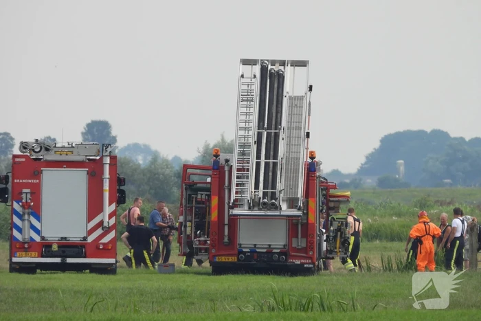 Paard raakt te water