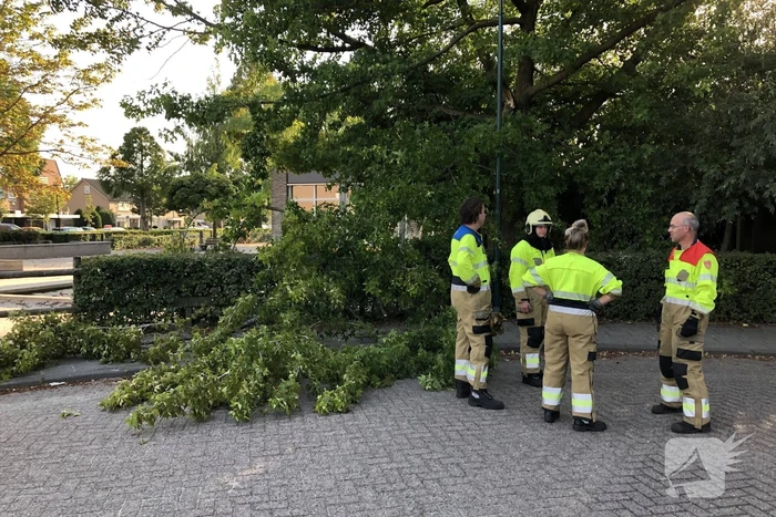 Enorme tak flinke boom breekt af
