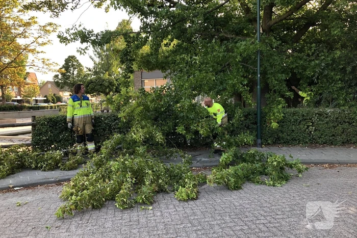 Enorme tak flinke boom breekt af