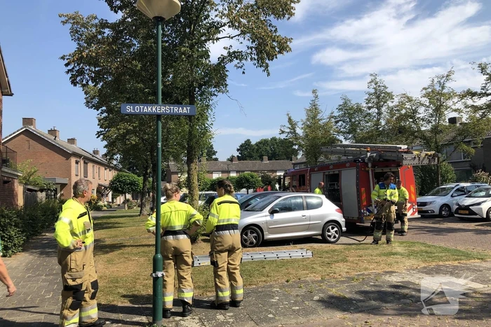 Kat gewond nadat deze uit boom werd gespoten