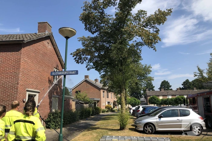 Kat gewond nadat deze uit boom werd gespoten