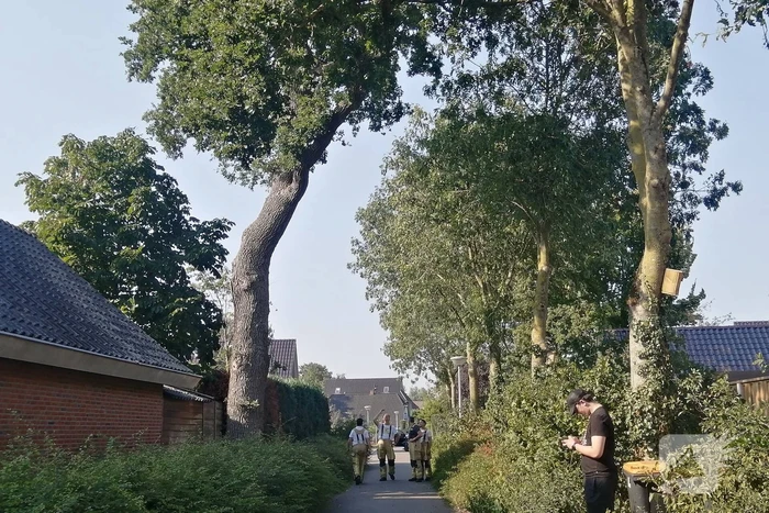 nieuws pastoor petersstraat rijssen