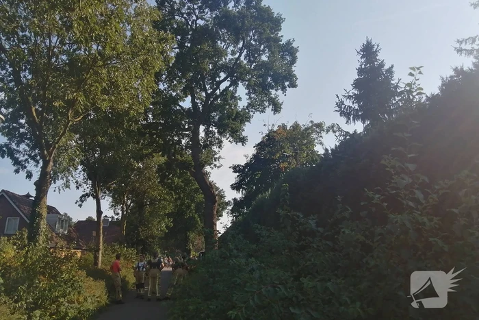 Gevaarlijk hangende tak boven woning verwijdert