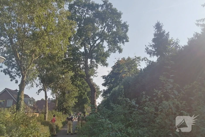 Gevaarlijk hangende tak boven woning verwijdert
