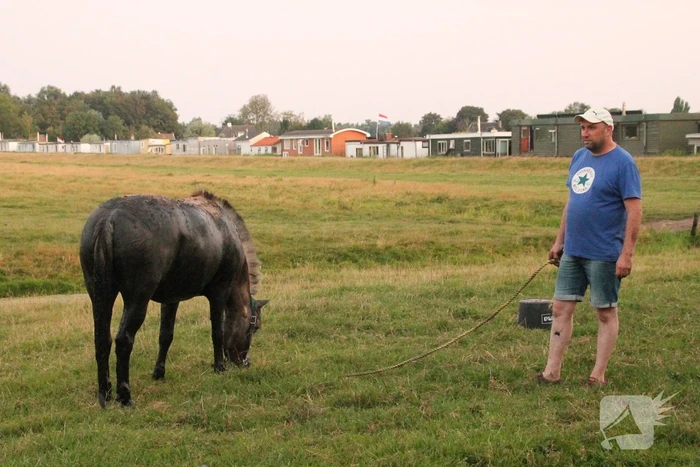 nieuws veurseweg voorschoten