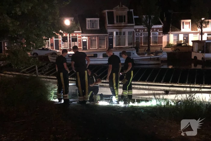 Brandweer redt kat uit gracht