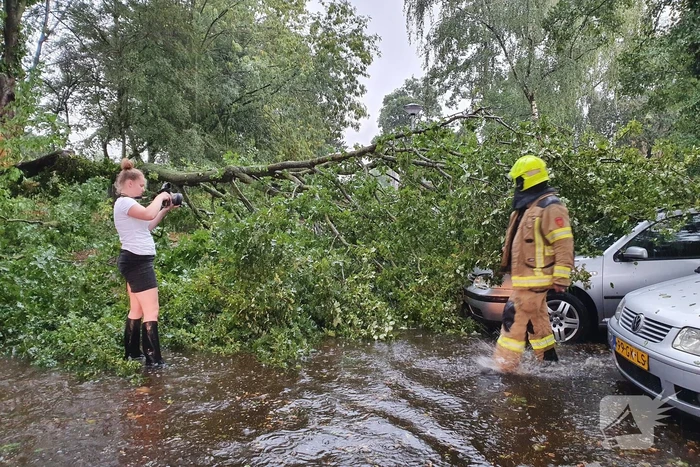 nieuws wildforster barneveld