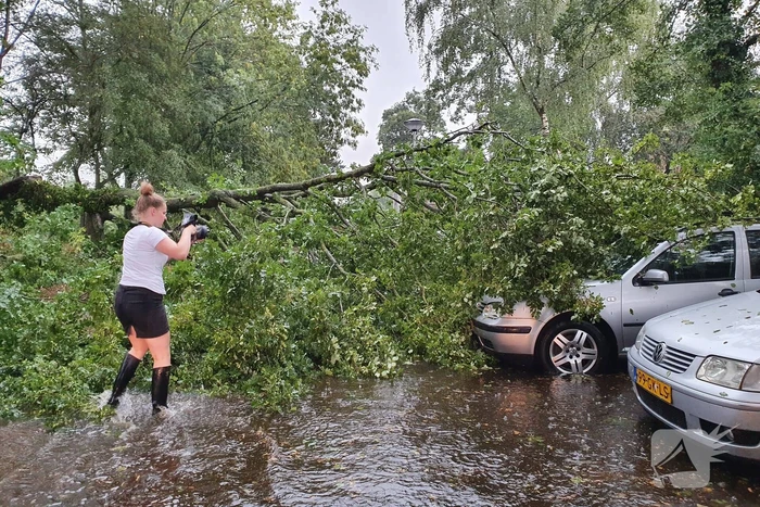 Stuk boom valt op drie geparkeerde auto's