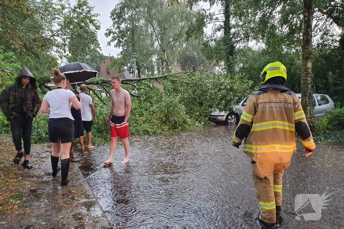 Stuk boom valt op drie geparkeerde auto's