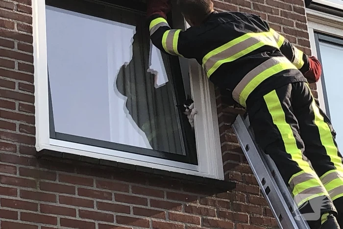 Kat vast tussen klapraam