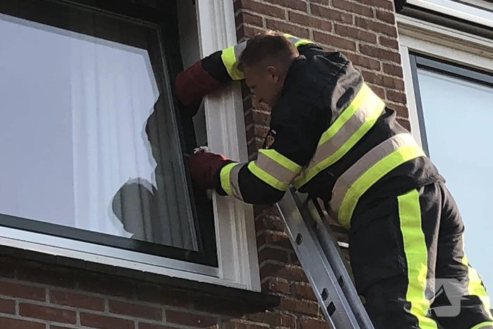 Kat vast tussen klapraam